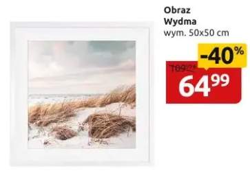 obraz