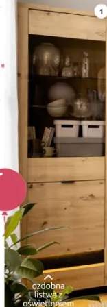 Witryna REG1D1W/20/7