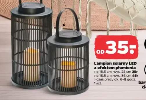 lampion